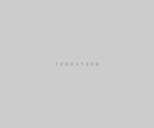 02-Copy
