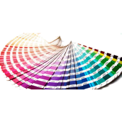 riferimento_colori_pantone2